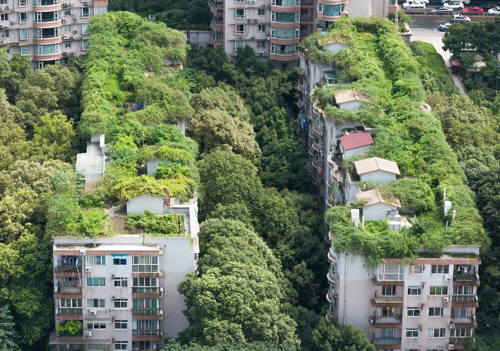 Construir tetos sustentáveis - França