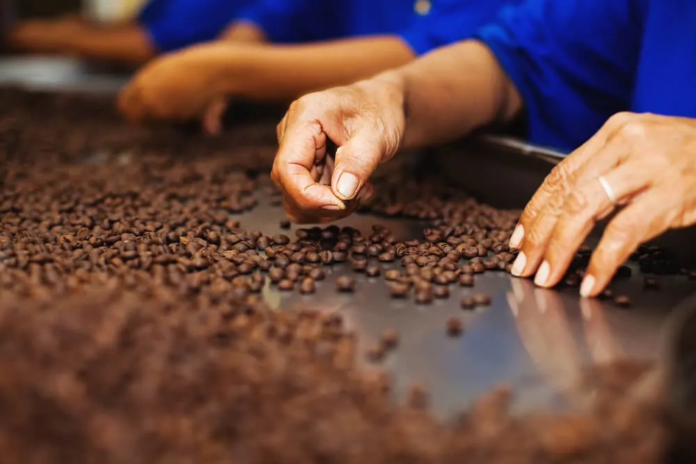 Fábrica de Chocolate Garoto – Vila Velha