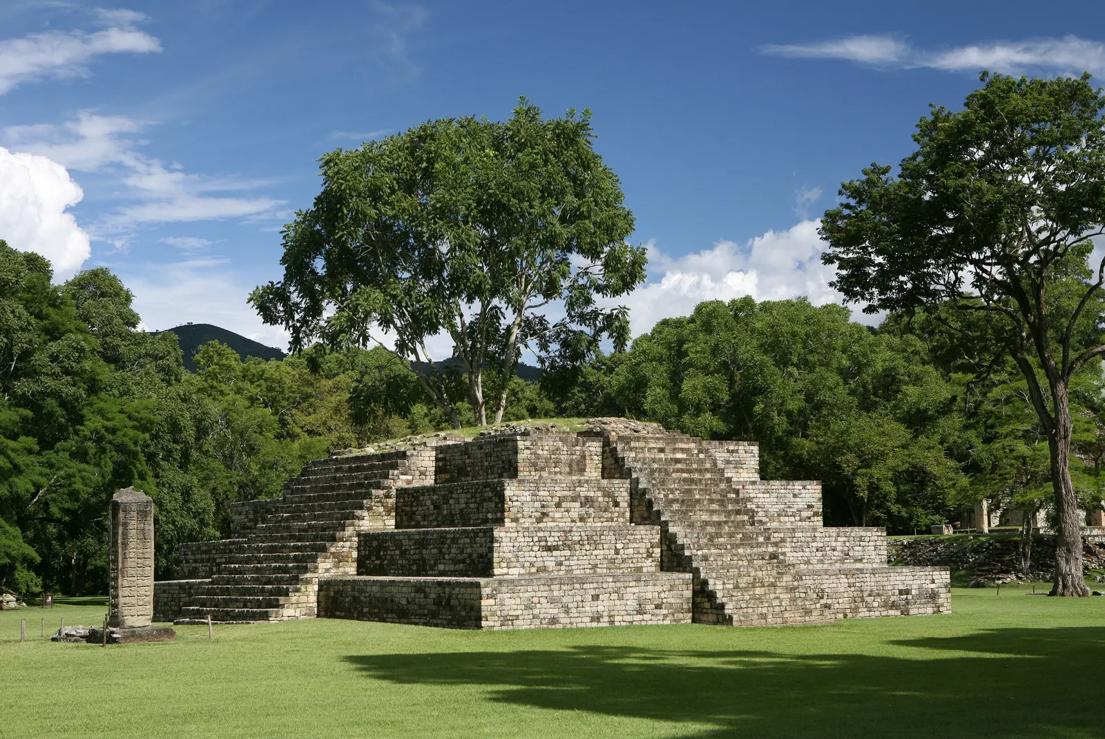 Imagem das ruínas Maias de Copán em Honduras com grama e árvores ao redor.
